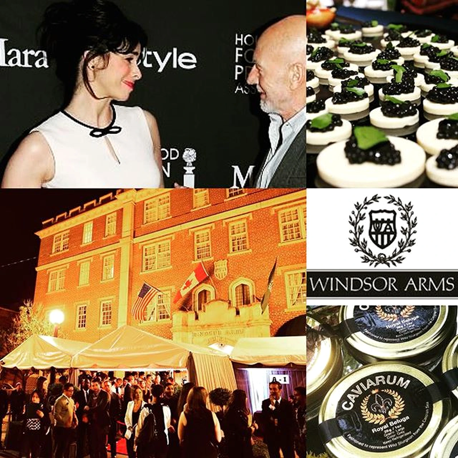 Historical Caviarum collage in Windsor Arms event context