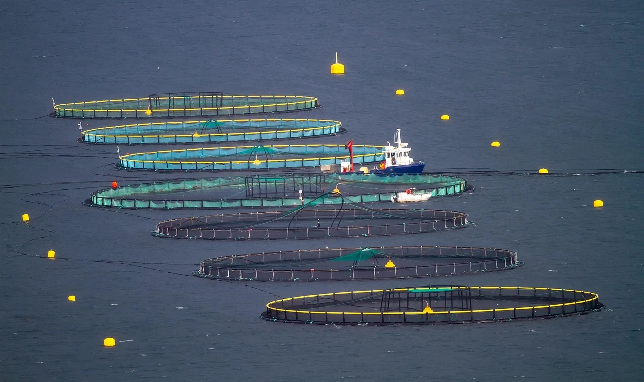 Aquaculture