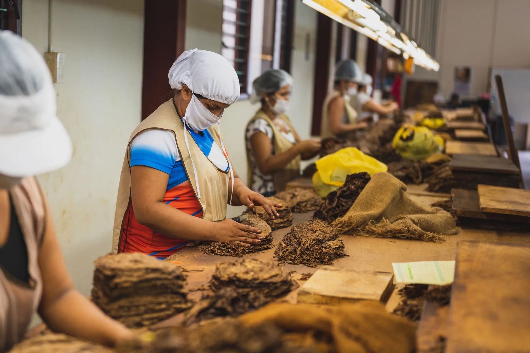 Industrial processing of tobacco raw materials