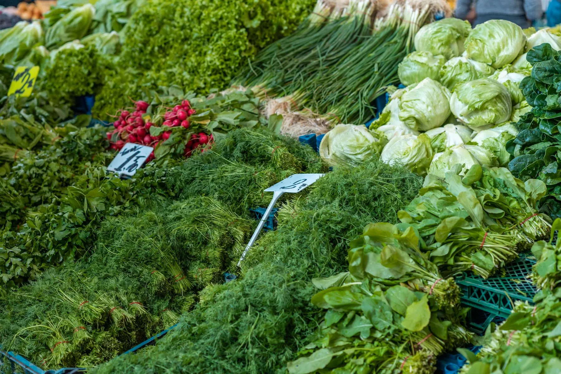 Fresh vegetables and herbs selected for natural food products